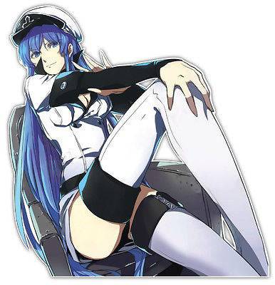 Akame ga Kill - Esdeath - Akame - Pin